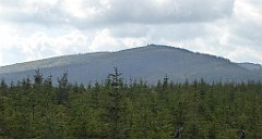 389_TZ60_P1160008_cr