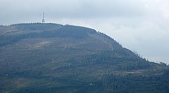 449_TZ60_P1160053_cr