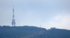 453_TZ60_P1160057_cr