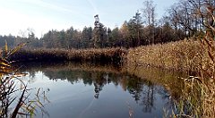 0148_A806_IMG_20161104_090853_cr