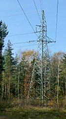 0229a_TZ_P1110072_cr