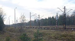 0286a_3D_P1140734_cr