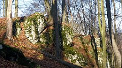 0408a_3D_P1140826_cr