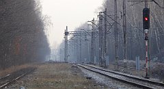 2016_01_03_Muchowiec
