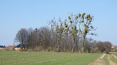 570_2017-03-29_12-43-01_3D_P1180977