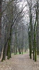 746_2017-03-29_14-55-13_TZ_P1120764