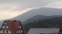137_IMG_x52624