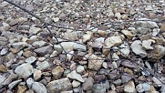 208_A806_IMG_20170503_092106