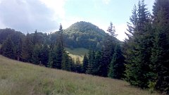 568_A806_IMG_20170706_155616