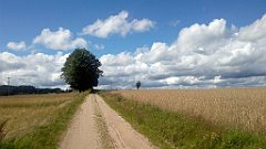 234_A806_IMG_20170806_151711