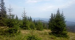 425_A806_IMG_20170826_154524