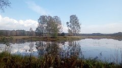 224_A806_IMG_20171021_121240