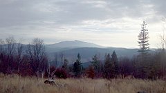 064_A806_IMG_20171106_081257