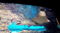 022_A806_IMG_20171210_101344