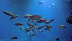 120_A806_IMG_20171210_105707