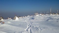 507_A806_IMG_20180301_152503