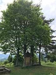 145_iP_180514_IMG_1198