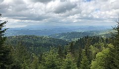 182_iP_180514_IMG_1212