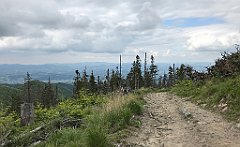 384_iP_180514_IMG_1247