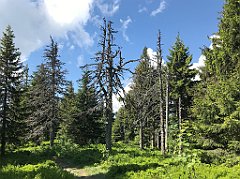 169_iP_180527_IMG_1296