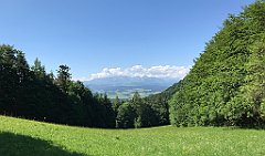 031_iP_180529_IMG_1513