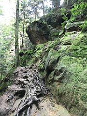 282_ip_20180812_IMG_2374