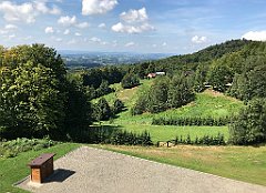 13_ip_20180812_IMG_2367