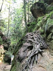 077_ip_20180812_IMG_2375