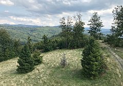 189_iP_180817_IMG_2448