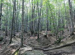 080_iP_180821_IMG_2493