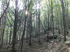 081_iP_180821_IMG_2494