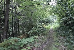 478_iP_180821_IMG_2542