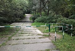 483_iP_180821_IMG_2548