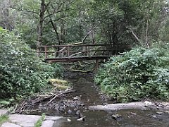 484_iP_180821_IMG_2549