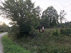 399_iP_180828_IMG_2952