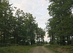 411_iP_180828_IMG_2962