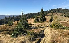 140_iP_181009_IMG_3108