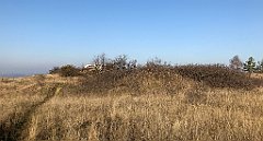 054_iP_181110_IMG_3214