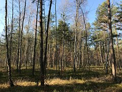 183_iP_181110_IMG_3225