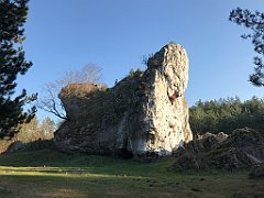 222_iP_181110_IMG_3239