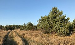 263_iP_181110_IMG_3241