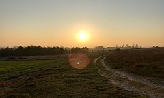 277_iP_181110_IMG_3246