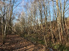 026_iP_181130_IMG_3273