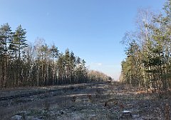 058_iP_181130_IMG_3298