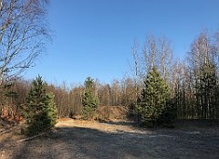 065_iP_181130_IMG_3301