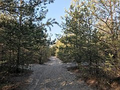 076_iP_181130_IMG_3306