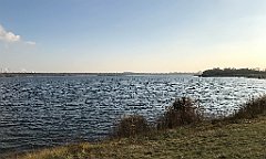 204_iP_181130_IMG_3379