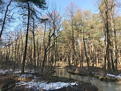 216_ip_190218_IMG_3583