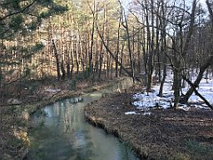 223_ip_190218_IMG_3591