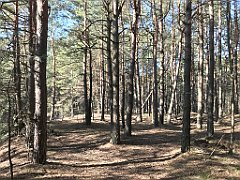 241_ip_190218_IMG_3599